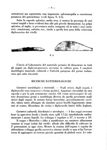 La clinica veterinaria rivista di medicina e chirurgia pratica degli animali domestici