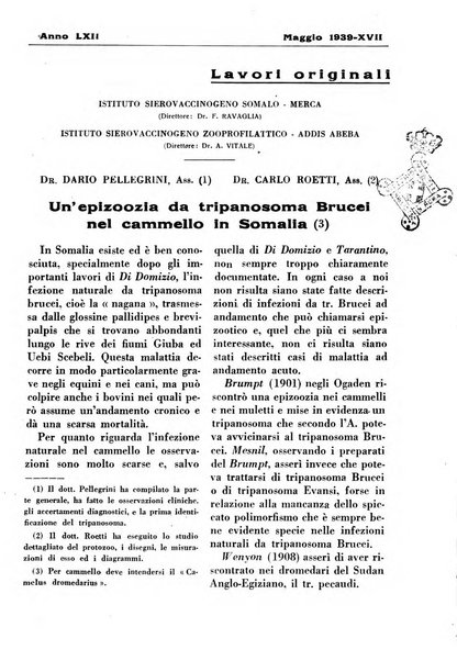 La clinica veterinaria rivista di medicina e chirurgia pratica degli animali domestici