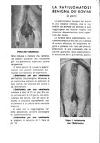 giornale/MIL0124118/1941/unico/00000188