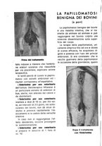 giornale/MIL0124118/1941/unico/00000272
