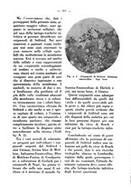 giornale/MIL0124118/1941/unico/00000357
