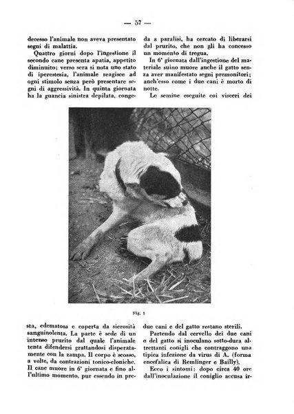 La clinica veterinaria rivista di medicina e chirurgia pratica degli animali domestici