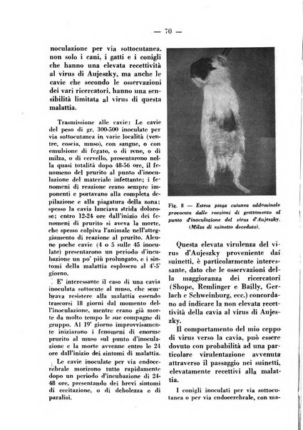 La clinica veterinaria rivista di medicina e chirurgia pratica degli animali domestici