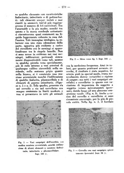 La clinica veterinaria rivista di medicina e chirurgia pratica degli animali domestici