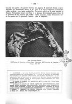 giornale/MIL0124118/1942/unico/00000355