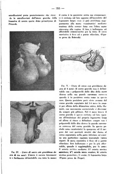 La clinica veterinaria rivista di medicina e chirurgia pratica degli animali domestici