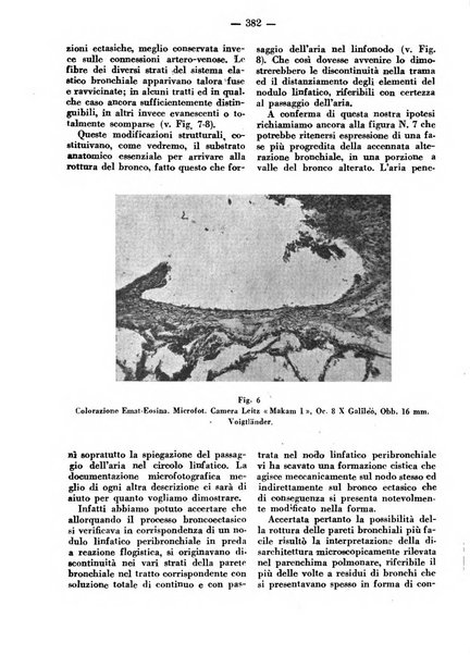 La clinica veterinaria rivista di medicina e chirurgia pratica degli animali domestici