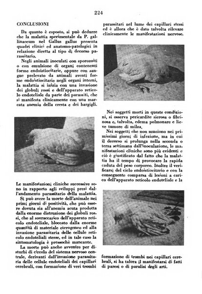 La clinica veterinaria rivista di medicina e chirurgia pratica degli animali domestici