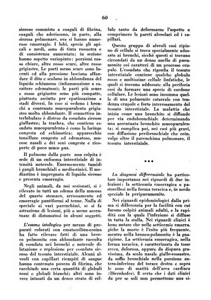 La clinica veterinaria rivista di medicina e chirurgia pratica degli animali domestici