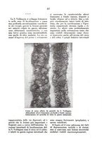 giornale/MIL0124118/1945/unico/00000065