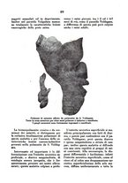 giornale/MIL0124118/1945/unico/00000067