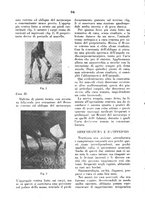 giornale/MIL0124118/1945/unico/00000072