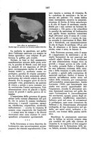 giornale/MIL0124118/1945/unico/00000085