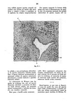 giornale/MIL0124118/1946/unico/00000048