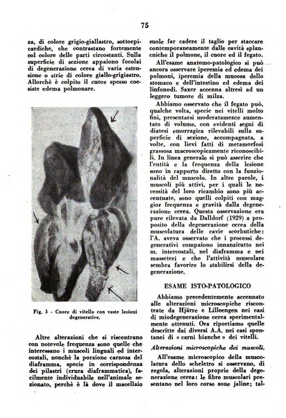 La clinica veterinaria rivista di medicina e chirurgia pratica degli animali domestici