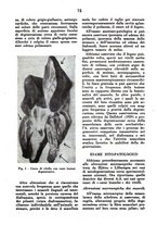 giornale/MIL0124118/1946/unico/00000089