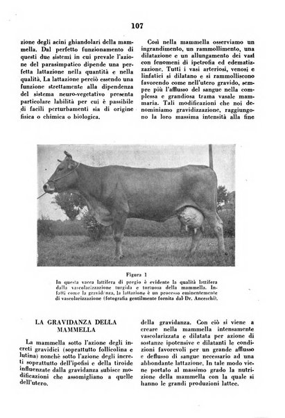 La clinica veterinaria rivista di medicina e chirurgia pratica degli animali domestici