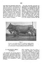 giornale/MIL0124118/1946/unico/00000125
