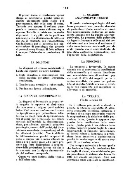 La clinica veterinaria rivista di medicina e chirurgia pratica degli animali domestici