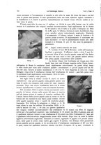 giornale/MIL0170408/1914/unico/00000238