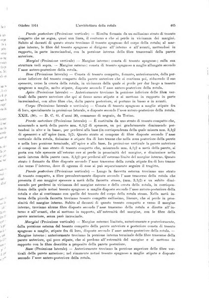 La radiologia medica rivista mensile