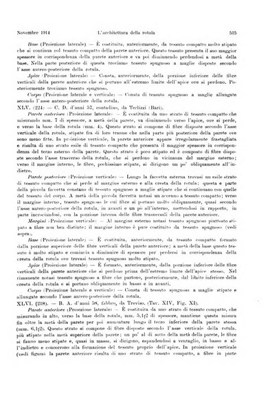 La radiologia medica rivista mensile