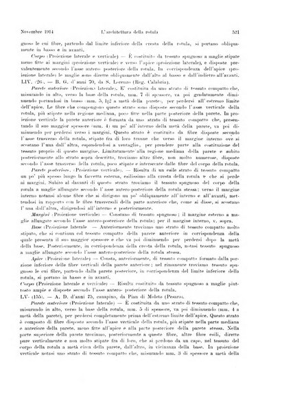 La radiologia medica rivista mensile