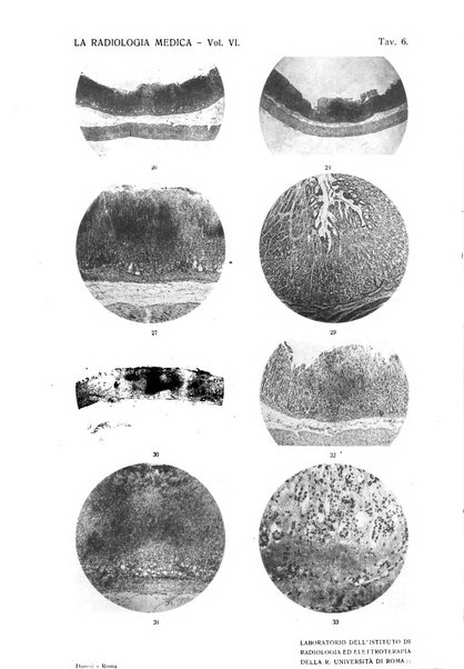 La radiologia medica rivista mensile