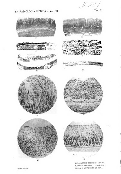 La radiologia medica rivista mensile