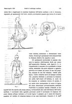 giornale/MIL0170408/1920/unico/00000141