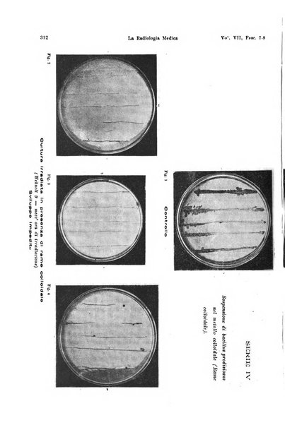 La radiologia medica rivista mensile