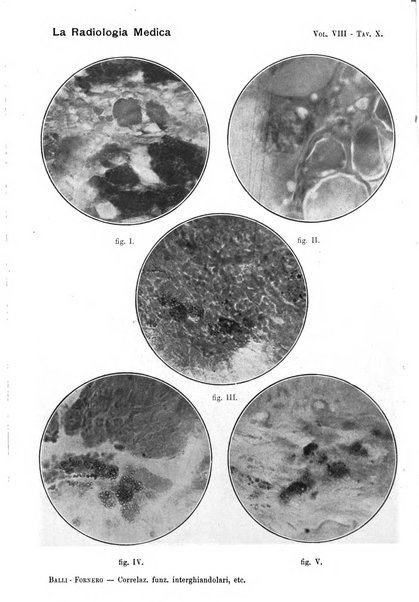 La radiologia medica rivista mensile