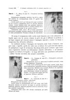 giornale/MIL0170408/1928/V.15.1/00000067