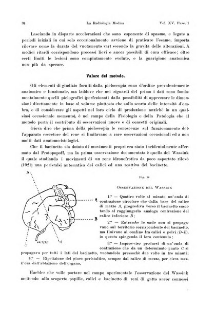 La radiologia medica rivista mensile