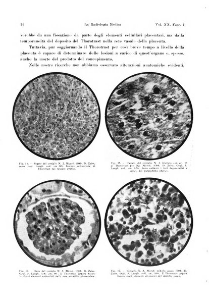 La radiologia medica rivista mensile