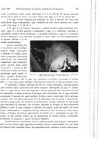 giornale/MIL0170408/1933/unico/00000519