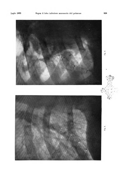 La radiologia medica rivista mensile