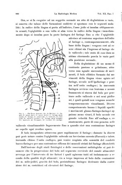 La radiologia medica rivista mensile