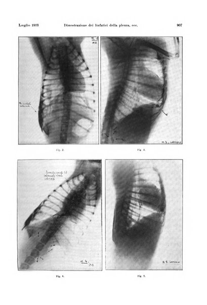 La radiologia medica rivista mensile