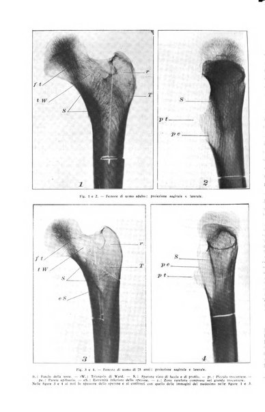 La radiologia medica rivista mensile