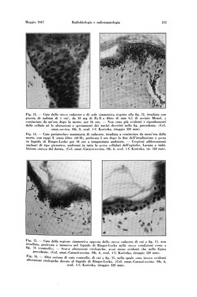 La radiologia medica rivista mensile