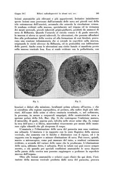 La radiologia medica rivista mensile