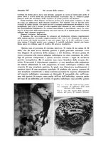 giornale/MIL0170408/1937/unico/00000781