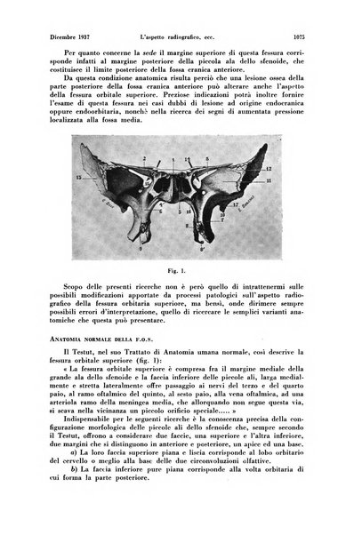 La radiologia medica rivista mensile