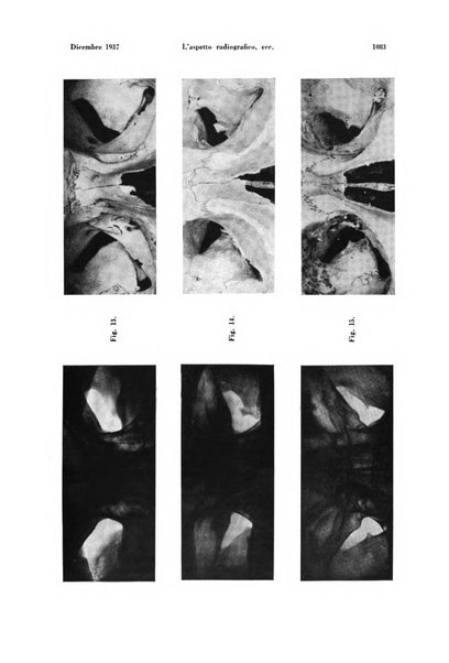 La radiologia medica rivista mensile