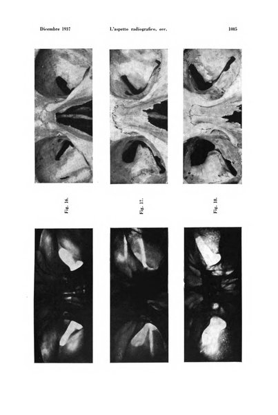 La radiologia medica rivista mensile