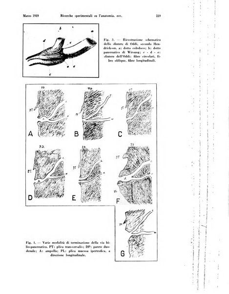 La radiologia medica rivista mensile