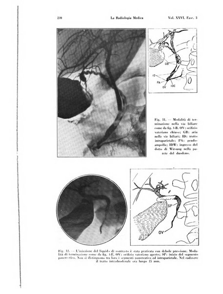 La radiologia medica rivista mensile