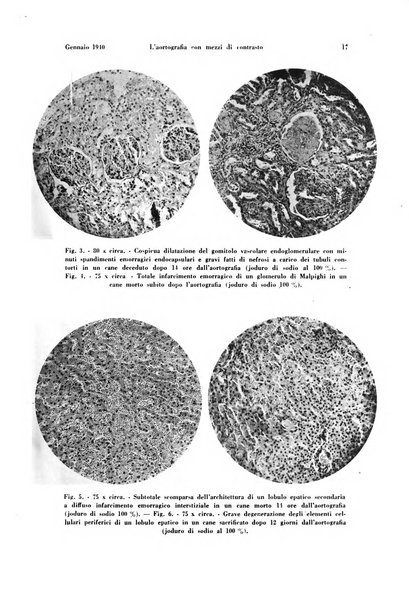 La radiologia medica rivista mensile