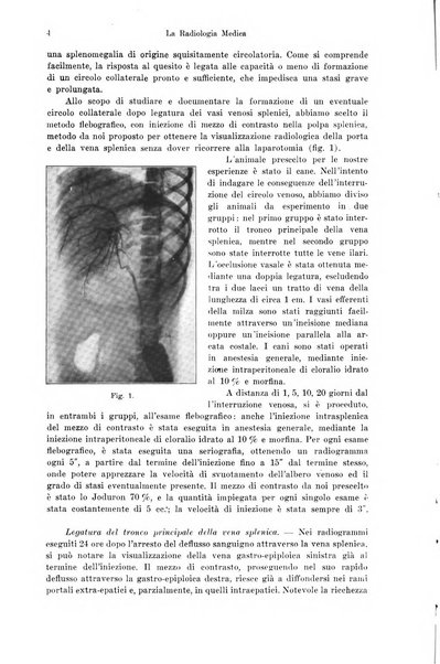 La radiologia medica rivista mensile